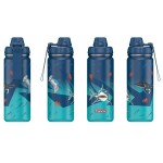 Izolovaná láhev na pití z nerezové oceli Step by Step 0,5 l, Underwater