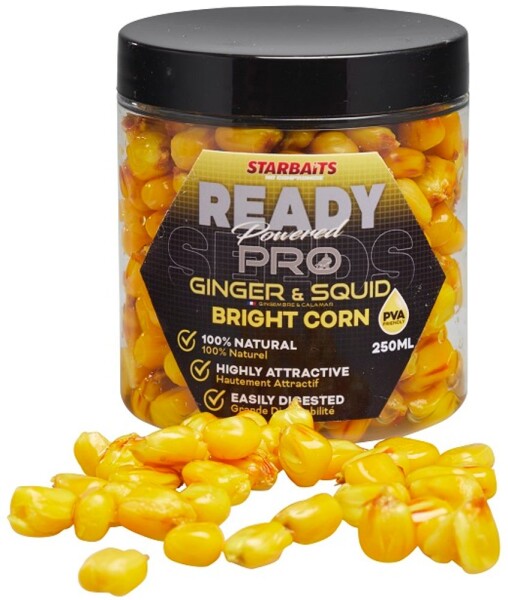 Starbaits Kukuřice Bright Ready Seeds Pro 250ml - Ginger Squid,Starbaits Kukuřice Bright Ready Seeds Pro 250ml - Ginger Squid