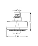 GROHE - Tempesta New Hlavová sprcha Cosmopolitan 100, 1 proud, chrom 26051001