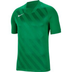 Tričko Nike Dri Fit Challange Jr BV6738 302