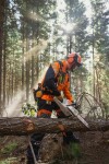 Aku řetězová pila STIHL MSA 260 C-O
