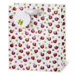 Luxusní Dárková taška LDT 064-A5