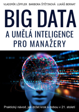 BIG DATA a umělá inteligence pro manažery - Vladimír Löffler, Barbora Štětinová, Lukáš Bernat - e-kniha