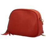 Módní dámská zlatá crossbody kabelka Anallisa, cihlově červená