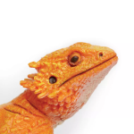 Safari Ltd. Safari Ltd. Figurka - Agama vousatá