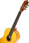 Ortega R170F