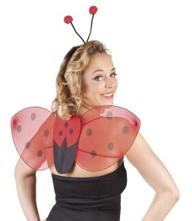 R-Kontakt.cz Křídla beruška + tykadla