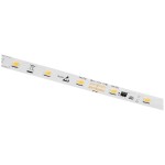 TRU COMPONENTS TRU-PL-HIGH-CRI TRU-PL-HIGH-CRI LED osvětlení pro akvárium s klecovou tahovou pružinou 12 V 180 mm neutrá