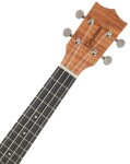 Tanglewood TWT 6