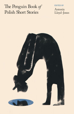 The Penguin Book of Polish Short Stories - Antonia Lloyd-Jones