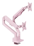 Arozzi Alzare Neo Duo fialová / Držák 2 monitorů na stůl / 17-32" / VESA 75x75-100x100 / nosnost 9 kg (AZ-ALZARE-NEO-DUO-PP)