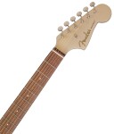 Fender Redondo Player Bronze Satin