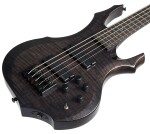 ESP LTD F-1005 FM STBLK