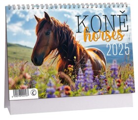 Stolní kalendář ARIA 2026 - Koně