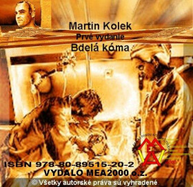 Bdelá kóma - Martin Kolek