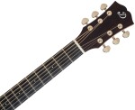 Dowina Rustica GA-s