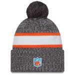 New Era Pánská zimní čepice Miami Dolphins NFL Gray 2023 Sideline Sport Knit