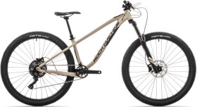 Rock Machine Blizz TRL 2025