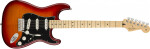 Fender Player Stratocaster Plus Top