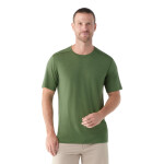 Pánské merino tričko s krátkým rukávem SMARTWOOL Men's Merino Short Sleeve Tee Boxed, Fern Green velikost: M