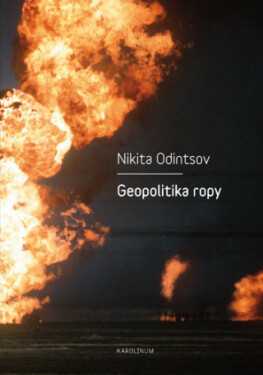 Geopolitika ropy - Nikita Odintsov - e-kniha