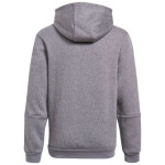Dětská mikina Tiro 21 Sweat Hoody Jr GP8803 Adidas
