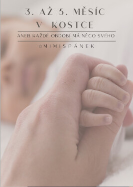 3. až 5. měsíc v kostce - Veronika Nowak, Gabriela Doudera