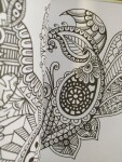 Zen 2, antistresové omalovánky, MFP