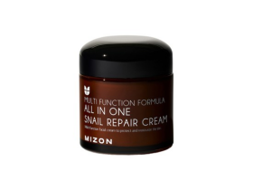 MIZON All In One Snail Repair Pleťový krém se šnečím extraktem 75 ml