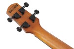 Ibanez AUT10 Natural