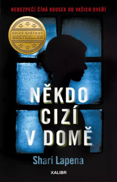 Někdo cizí v domě (poškozené) - Shari Lapena