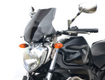 Yamaha Fz6 2007-2010 Plexi cestovní cm