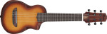 Ibanez AUP10N-OLB - Open Pore Light Brown Sunburst