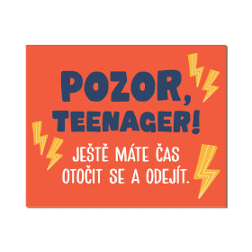 Cedulka na dveře - Teenager - Albi