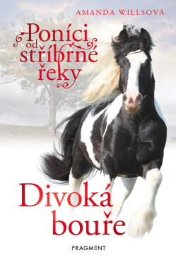 Poníci od stříbrné řeky – Divoká bouře - Amanda Willsová