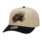 Mitchell & Ness Pánská kšiltovka Vancouver Grizzlies NBA Off Tilted Pro Snapback Hwc