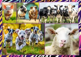 TREFL Puzzle Zábavná zvířata
