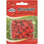 Dřevěné berušky sada 40 ks