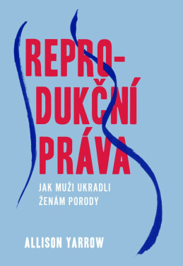 Reprodukční práva - Jak muži ukradli ženám porody - Allison Yarrow