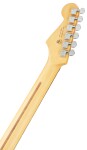 Fender American Professional II Stratocaster HSS RW DK NIT