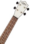 Lanikai JMS-AWT2