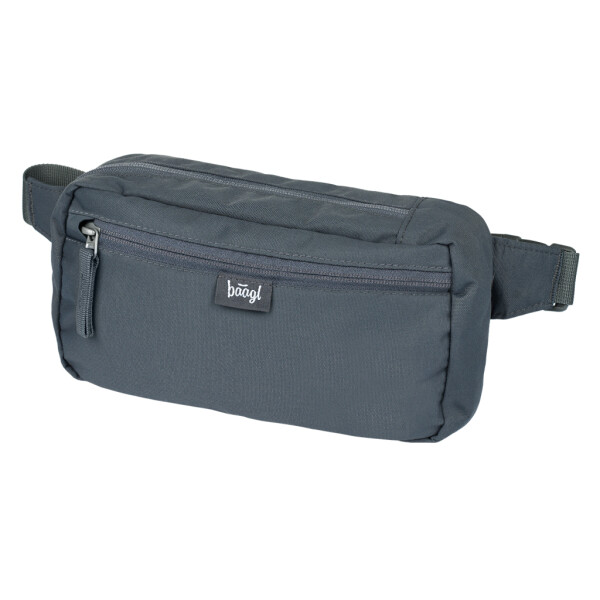 Ledvinka BAAGL Go 2 l - Grey