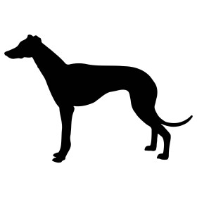 Whippet 1 dřevěná dekorace na zeď Rozměr (cm): 38 x 26