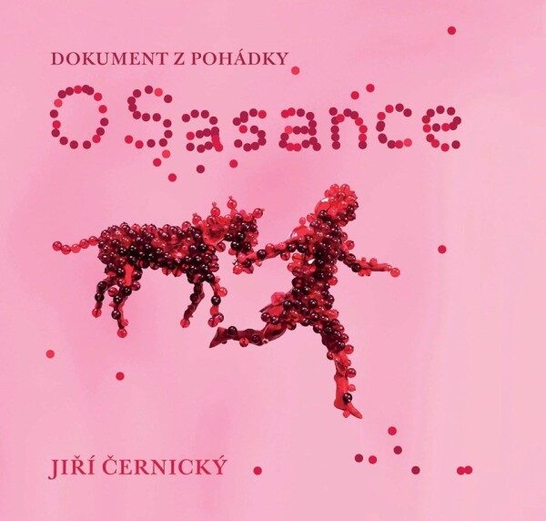 Sasance Dokument pohádky Jiří Černický