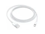 Kabel iPhone 2m