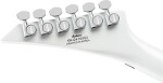 Jackson LE Legend Series Scott Ian Rhoads RR22 NOT