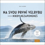 Na svou první velrybu nikdy nezapomeneš