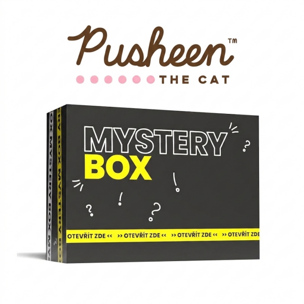 Mystery Box Pusheen - EPEE