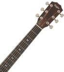 Taylor Legacy 815e