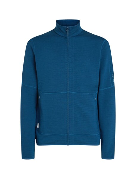 ICEBREAKER Mens 400 RealFleece Descender LS Zip, Atlantis velikost: M
